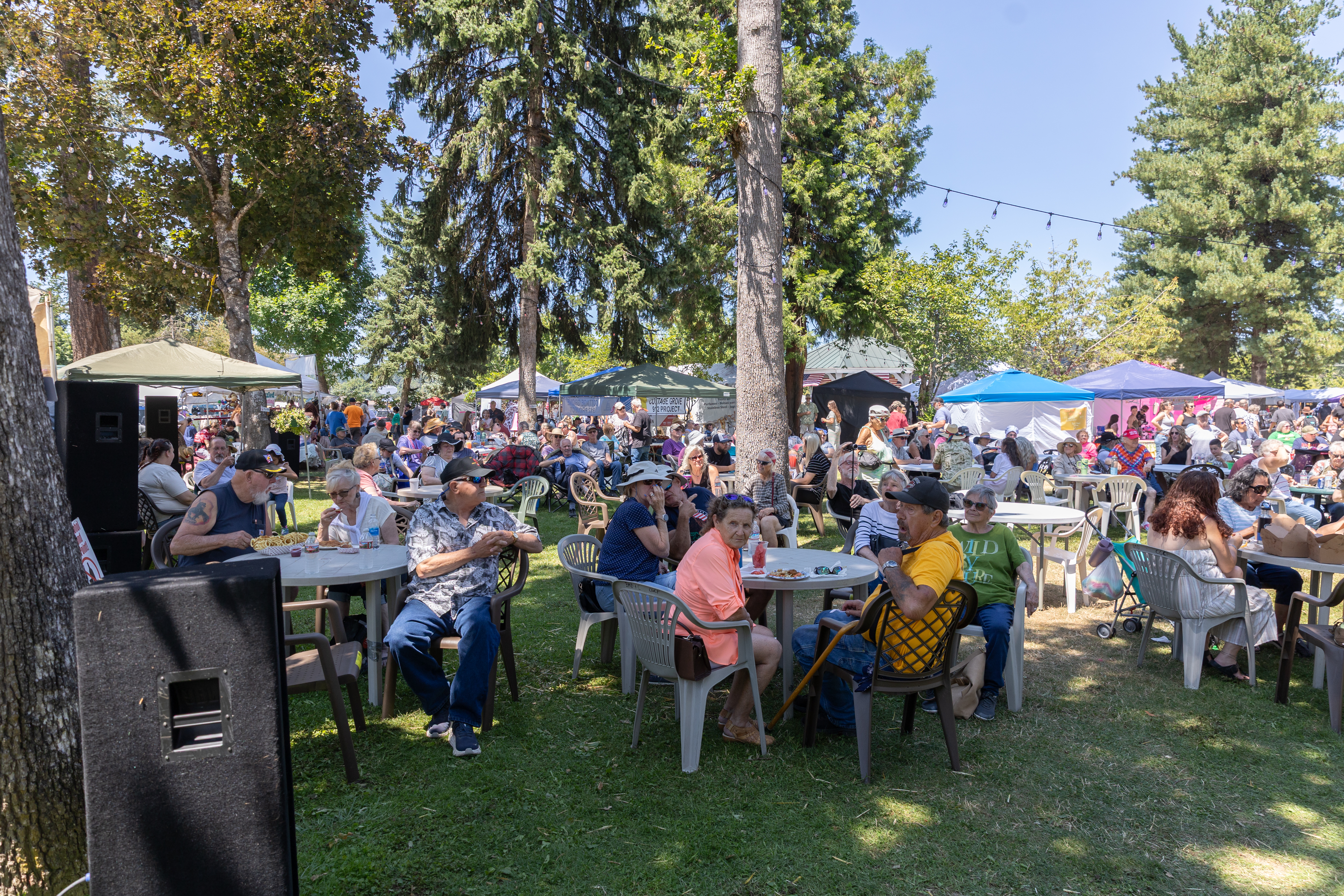2026 Festival Photo Gallery thumbnail 14